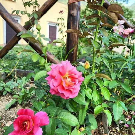 Holiday home Casale Forno Vecchio *